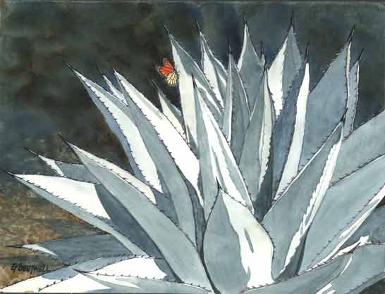 agave10x.jpg