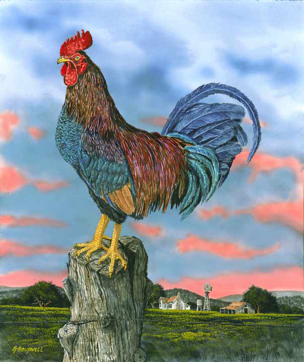 generalchicken.jpg