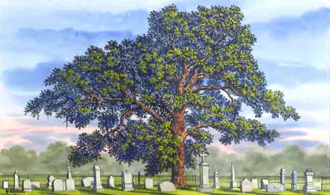 pagetree.jpg