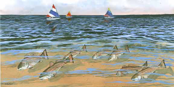 tailsail.jpg