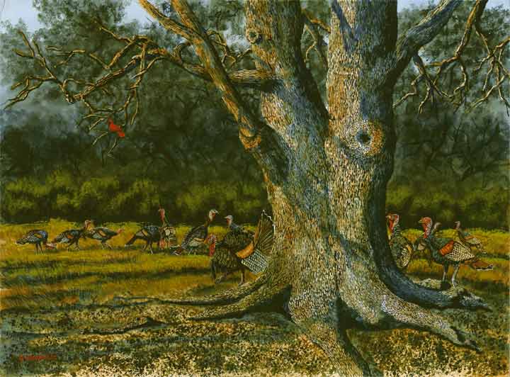 turkeytree.jpg