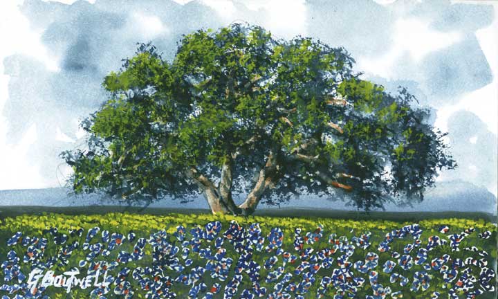 3smalltree826.jpg