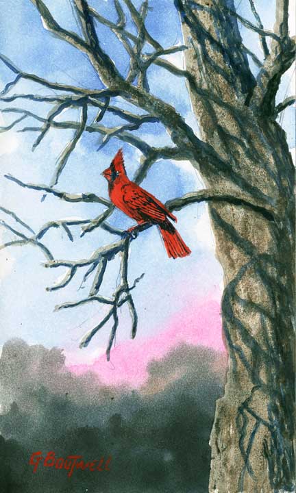 3smorig925cardinal.jpg