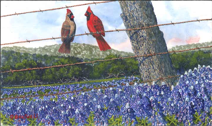 cardinalblub.jpg